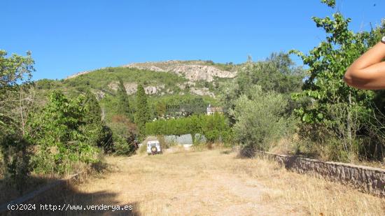 Masia en el desierto de las Palmas - CASTELLON