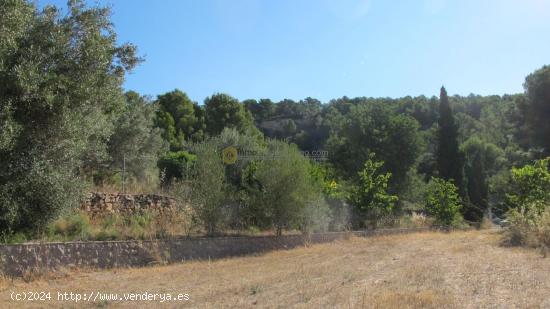 Masia en el desierto de las Palmas - CASTELLON