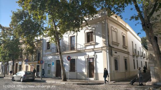 Local comercial para hostelería Esquina, amplia fachada. - CADIZ