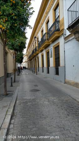 Zona Plaza de San Andres plaza de garaje y trastero. - CADIZ