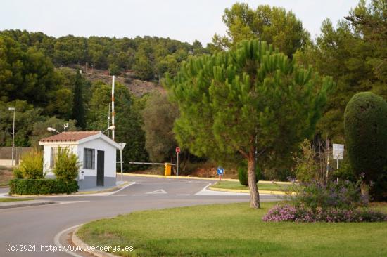 Quieres lo mejor para tu familia? no lo dudes Urbanización la Coma - CASTELLON