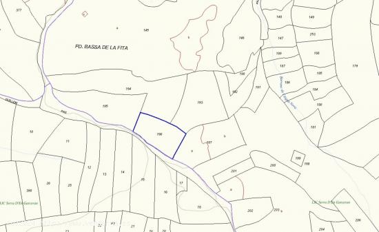 APROVECHA ESTA OPORTUNIDAD Y CONVIERTETE EN PROPIETARIO DE UNA FINCA RUSTICA DE SECANO - CASTELLON