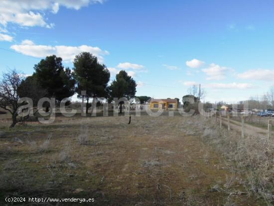 Parcela con vivienda. - VALLADOLID