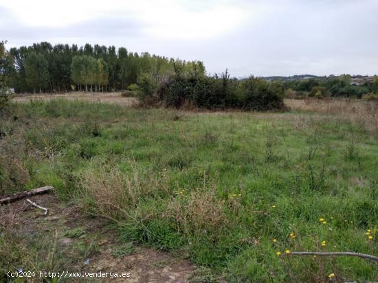 TERRENO URBANO ...OPORTUNIDAD PARA TU FINCA DE RECREO - LEON