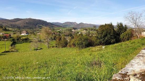 Se Vende en Valdaliga - CANTABRIA