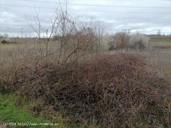 SE VENDE TERRENO RUSTICO CON POZO Y EDIFICACION EN FUENTESNUEVAS - LEON