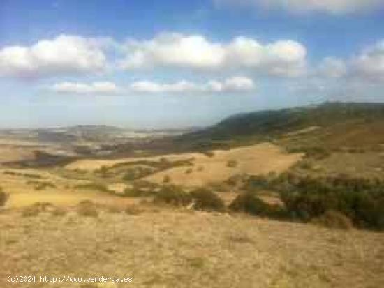 Se Vende en Vejer de la Frontera - CADIZ