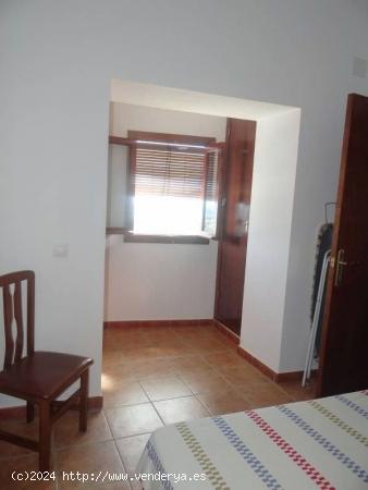 APARTAMENTO ALQUILER VACACIONAL - CADIZ