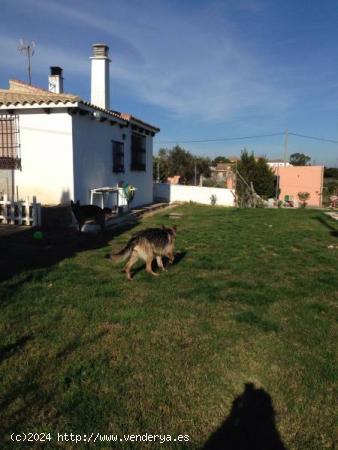 Estupendo Chalet con Piscina - CADIZ