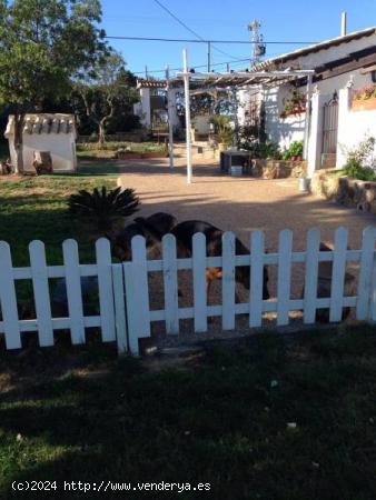 Estupendo Chalet con Piscina - CADIZ