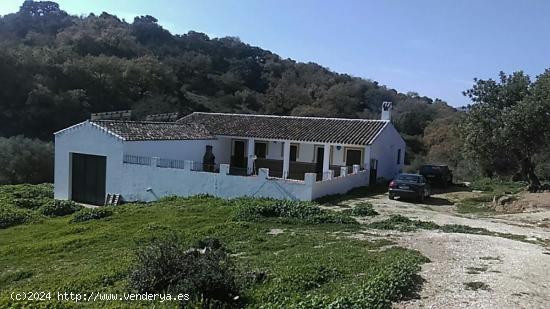  Cortijo Andaluz en Sierra de Cádiz - CADIZ 