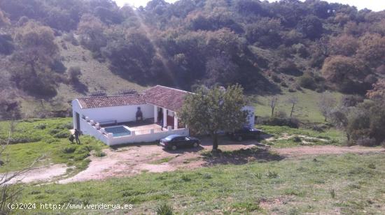 Cortijo Andaluz en Sierra de Cádiz - CADIZ