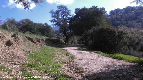 Cortijo Andaluz en Sierra de Cádiz - CADIZ