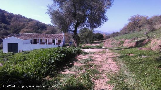 Cortijo Andaluz en Sierra de Cádiz - CADIZ