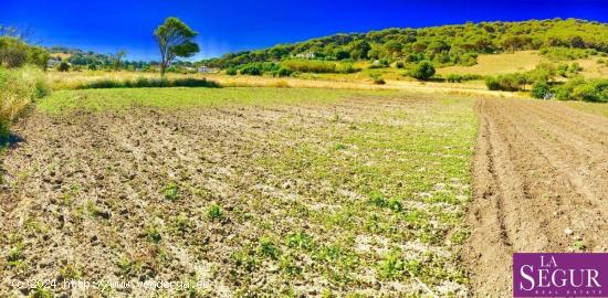  Estupendo terreno en San Ambrosio - CADIZ 