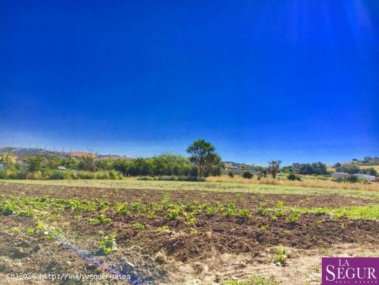 Estupendo terreno en San Ambrosio - CADIZ