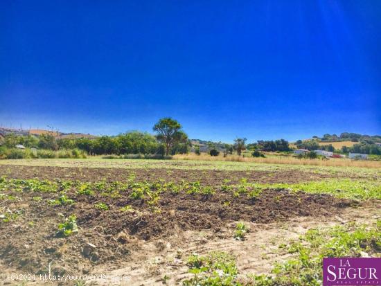 Estupendo terreno en San Ambrosio - CADIZ