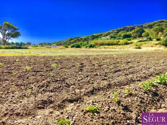 Estupendo terreno en San Ambrosio - CADIZ