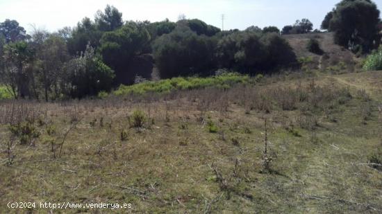 Estupenda Parcela Rústica entre Vejer y Benalup - CADIZ