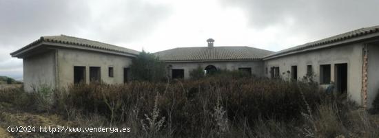  ESTUPENDA FINCA RÚSTICA CON CONSTRUCCIÓN - CADIZ 