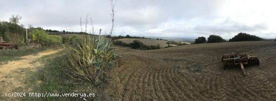  FINCA RURAL EN ZONA TRANQUILA - CADIZ 