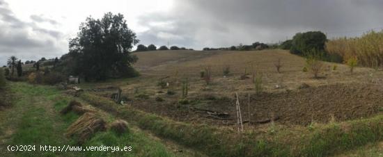 FINCA RURAL EN ZONA TRANQUILA - CADIZ