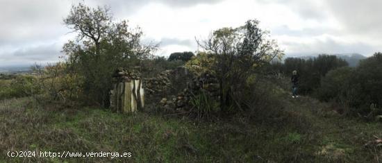 FINCA RURAL EN ZONA TRANQUILA - CADIZ