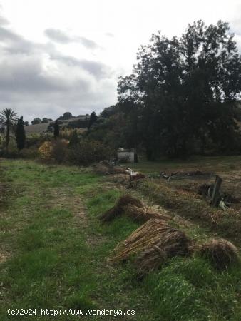 FINCA RURAL EN ZONA TRANQUILA - CADIZ