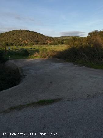  Parcela Rústica en Naveros a pie de carretera. - CADIZ 