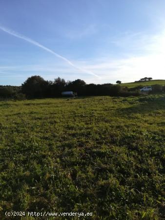 Parcela Rústica en Naveros a pie de carretera. - CADIZ