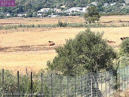 Parcela rústica ideal para Caballos, ganado. - CADIZ