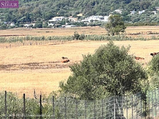 Parcela rústica ideal para Caballos, ganado. - CADIZ