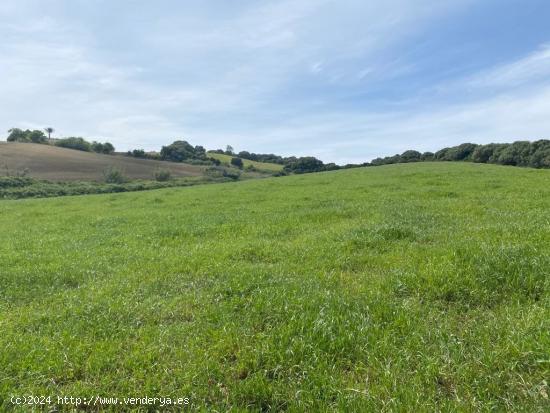 Finca rústica cerca de Vejer - CADIZ