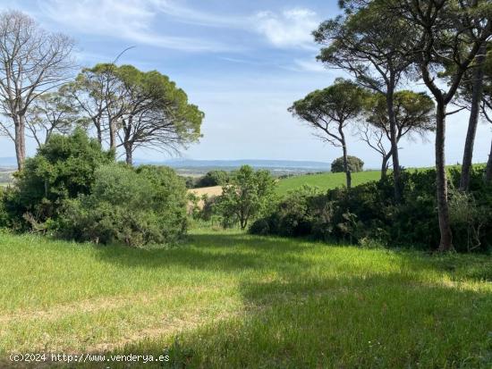 Finca rústica cerca de Vejer - CADIZ