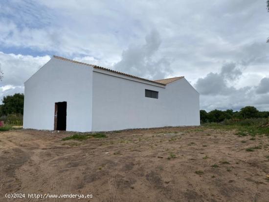 Finca rústica con nave de 150 m2 en perfecto  estado. - CADIZ