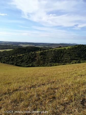 Parcela Rústica 32.000 m2. Zona Patria - CADIZ