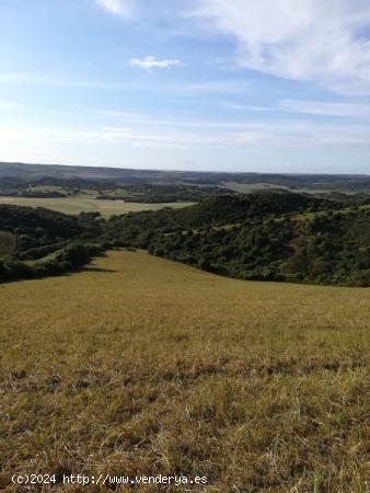 Parcela Rústica 32.000 m2. Zona Patria - CADIZ