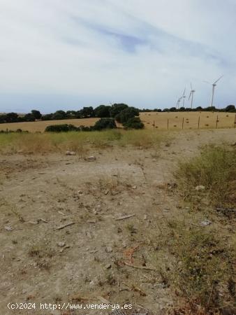 PARCELA RÚSTICAEN ZONA MONTECOTE (VEJER DE LA FRONTERA) - CADIZ