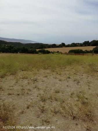 PARCELA RÚSTICAEN ZONA MONTECOTE (VEJER DE LA FRONTERA) - CADIZ