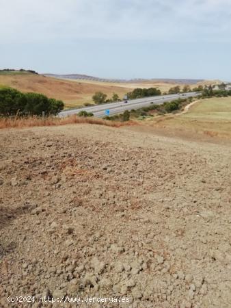  PARCELA RÚSTICA DE 2000 METROS EN EL TERMINO MUNICIPAL DE BARBATE - CADIZ 