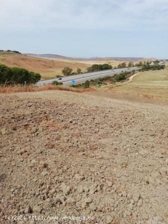 PARCELA RÚSTICA DE 2000 METROS EN EL TERMINO MUNICIPAL DE BARBATE - CADIZ