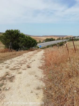 PARCELA RÚSTICA DE 2000 METROS EN EL TERMINO MUNICIPAL DE BARBATE - CADIZ