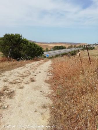 PARCELA RÚSTICA DE 2000 METROS EN EL TERMINO MUNICIPAL DE BARBATE - CADIZ