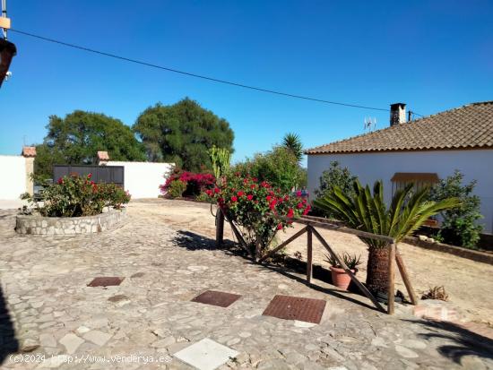 BONITA FINCA RÚSTICA CON CASA DE CAMPO EN NÁJARA - CADIZ