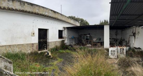  CASA DE CAMPO CERCANA A VEJER DE LA FRONTERA - CADIZ 