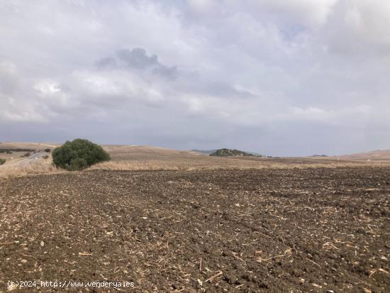 PARCELA RÚSTICA EN LA CARRETERA VEJER- EL PALMAR - CADIZ