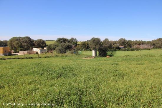 MAGNIFICA CASA CON TERRENO EN LA MUELA - CADIZ