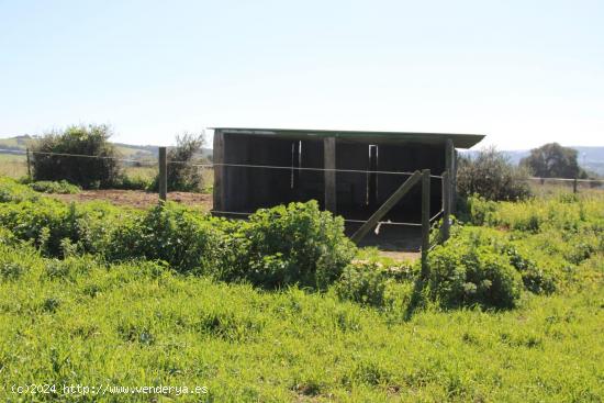 MAGNIFICA CASA CON TERRENO EN LA MUELA - CADIZ