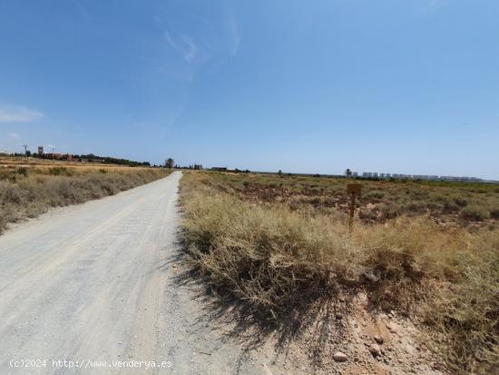 EL ALTET RUSTICA DE 19.703 M2 - ALICANTE