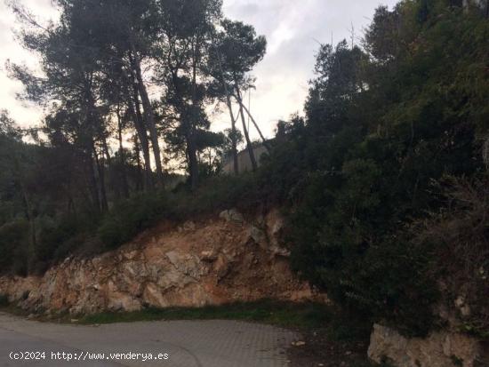 TERRENO LISTO PARA CONSTRUIR TU CASA - BARCELONA